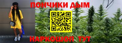 крисы Партизанск