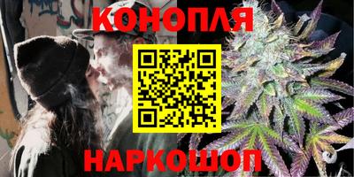 крисы Партизанск