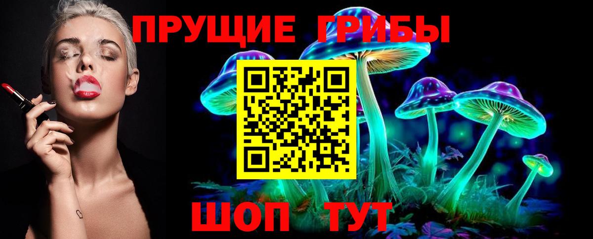 Галлюциногенные грибы Cubensis Москва